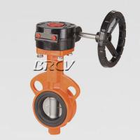 蝸輪對夾式軟密封蝶閥